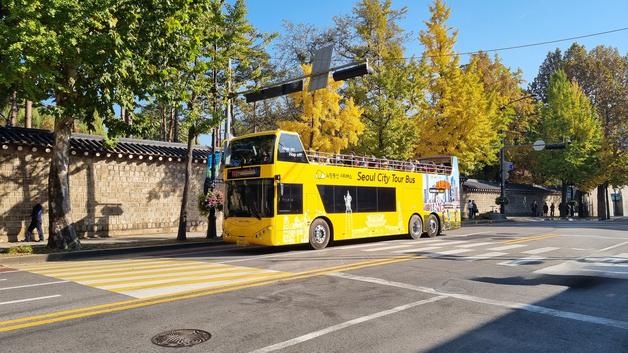 지각 단풍에도 "서울 등산 좋아요"…외국인 관광객 6배 급증