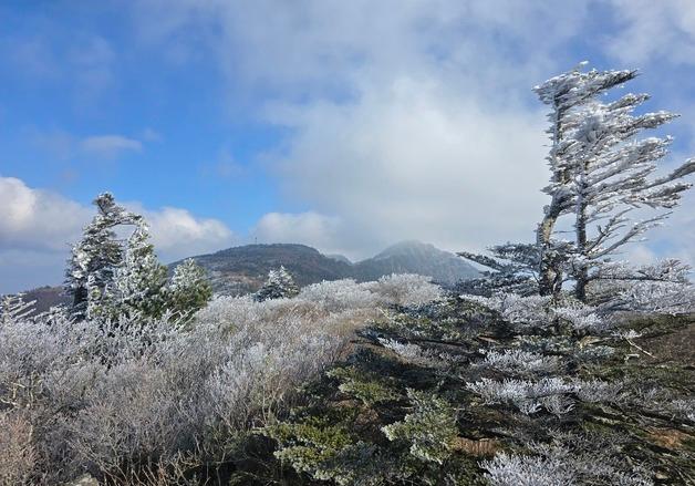 올해 첫 지리산 상고대, 장터목·세석 일원…작년보다 한달 늦어