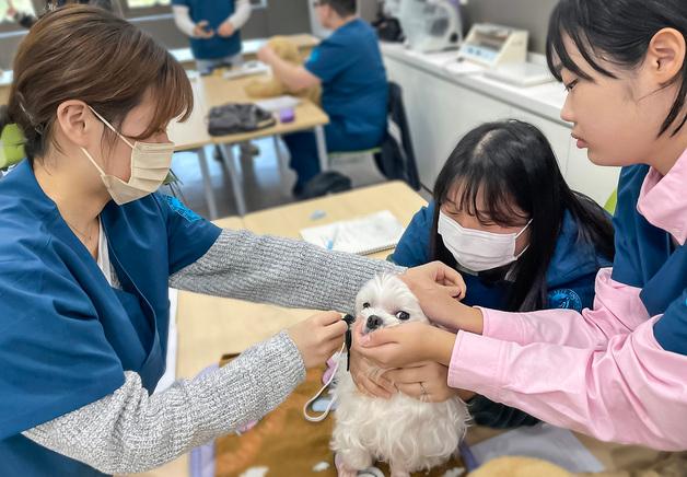 영진전문대 동물보건과, 동물보건사 '3년 완전인증' 획득