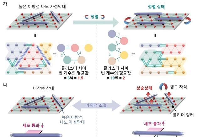 국내 연구팀, 수학적 알고리즘으로 생체 반응의 숨겨진 코드 규명