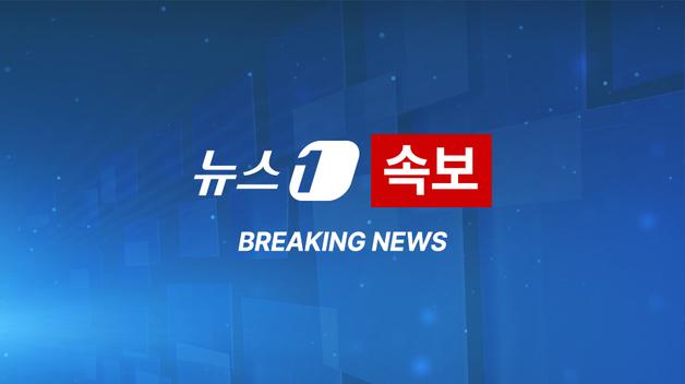 [속보] 당선 가능성 고조, 트럼프 미디어 주가 22% 폭등 