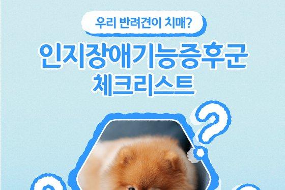 "짜증 늘어난 반려견, 가족도 못 알아봐요"…치매 체크리스트[펫카드]