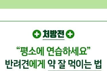 반려견에게 약 잘 먹이는 법 '꿀팁' 알려드립니다[펫카드]