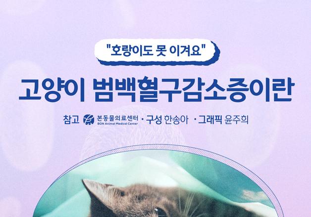 "호랑이도 못 이겨요"…고양이 범백혈구감소증이란[펫카드]