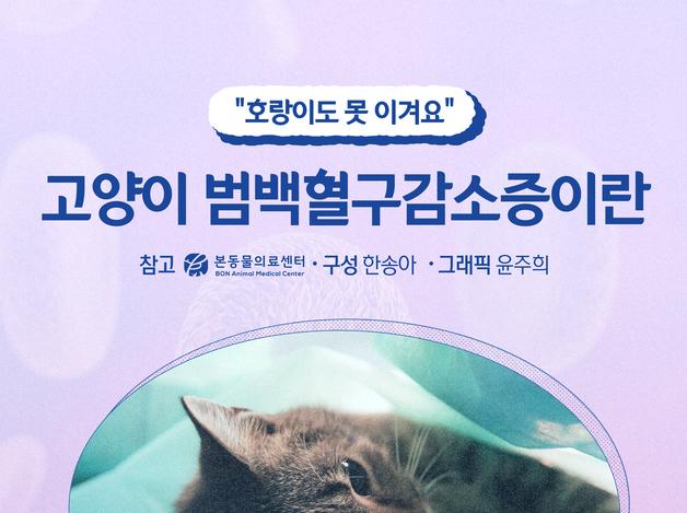 "호랑이도 못 이겨요"…고양이 범백혈구감소증이란