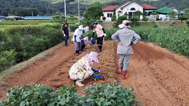 "실질소득에 깜짝" 고요했던 밀양 퇴로고가마을에 6명의 낯선 손님