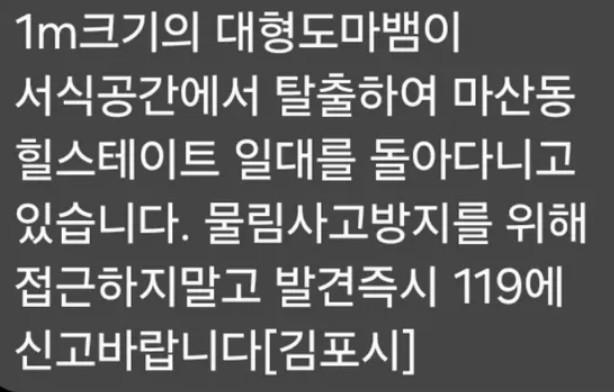 1m짜리 애완용 도마뱀 김포서 탈출…"발견하면 119 신고해 달라"