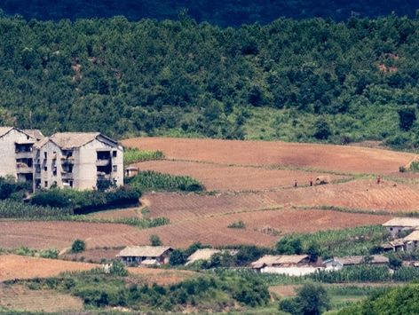 FAO "북한 '외부 식량 지원 필요국' 재지정"