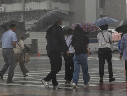 [오늘의날씨] 인천(8일, 월)…30~80㎜ 천둥·번개 동반 많은 비