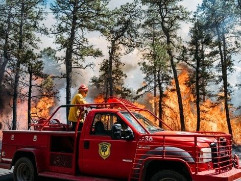 美뉴저지 산림공원 대규모 산불…여의도 면적 3.5배 소실