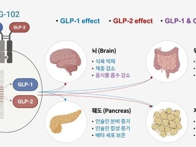 유한양행 자회사 프로젠, 당뇨·비만 신약 후보 'PG-102' 2상계획 승인