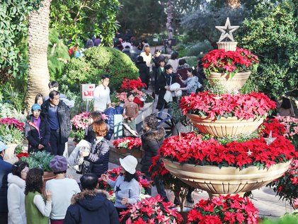 강추위에 시민들로 붐비는 식물원