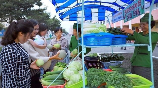 "흐뭇한 작황"…北 함경남도 연포온실농장 증산 선전