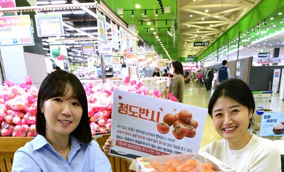 가을은 반시의 계절