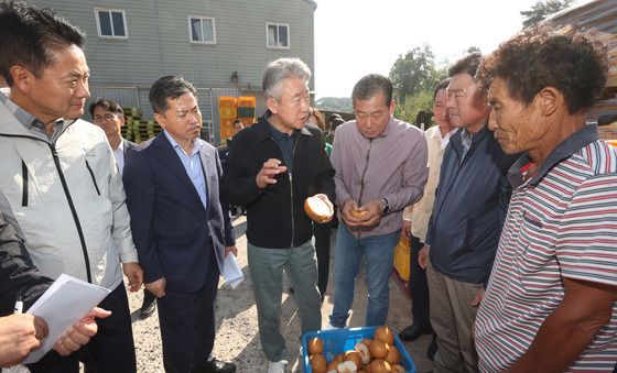 강호동 농협중앙회장, 진주 배 햇볕데임 피해 점검