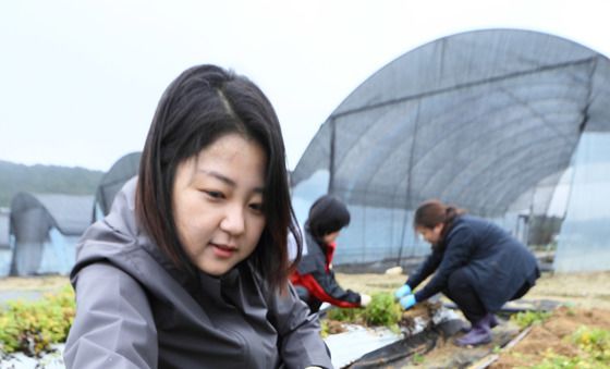 저온성 필름 재배로 생산량 높아진 '천궁'