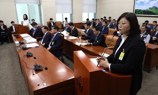 [국감]하니와 나란히 증언하는 김주영 대표