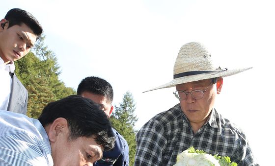 이재명 대표, 방금 수확한 소중한 금배추