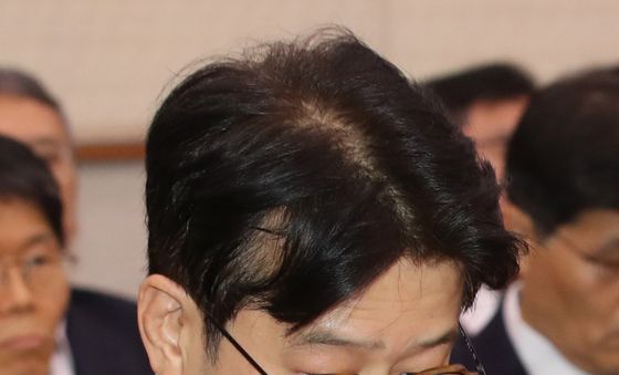 [국감]법사위 국감 출석한 이창수 중앙지검장