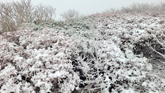 겨울로 접어든 설악산