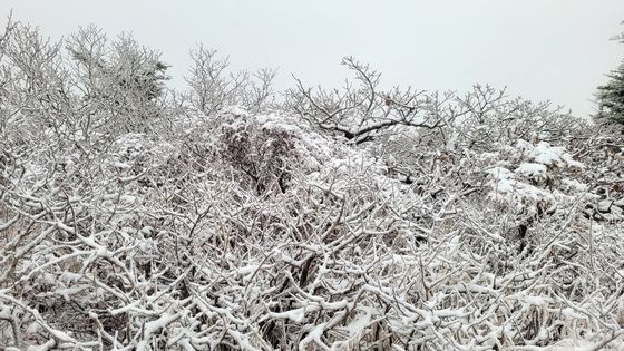 눈 쌓인 설악산