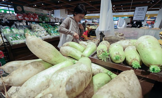 "김장 포기할까"…배추·무 가격 전년대비 40% 올라