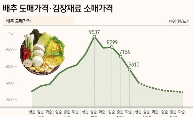 [그래픽] 배추 도매가격·김장재료 소매가격