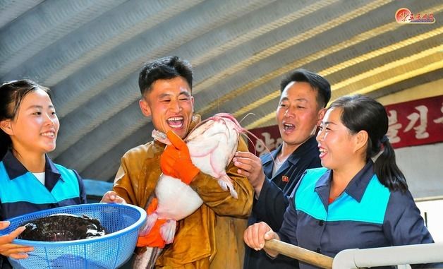 북한 "단천제련소, 메기양어 '튼실'…일터에 기쁨 넘쳐"