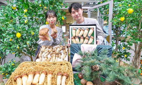 현대백화점, 올해 첫 수확한 '자연송이' 선보여