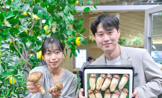 현대백화점, 올해 첫 수확한 '자연송이' 선보여