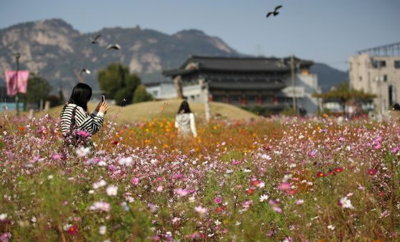 짧은 가을, 다음 주 기온 뚝