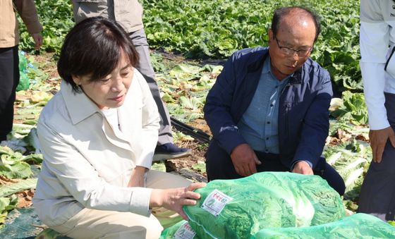 배추밭 찾아간 송미령 농식품부 장관