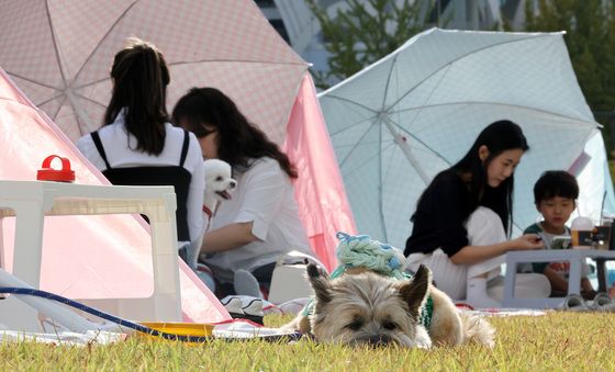 반려견과 함께하는 '펫크닉'