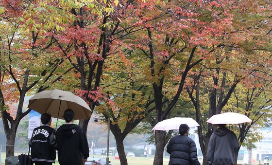 가을비 내리는 캠퍼스