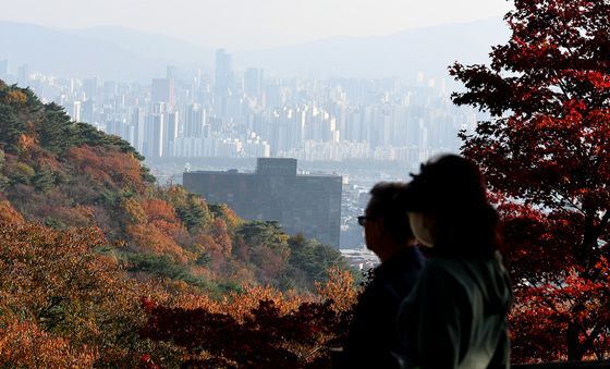 단풍과 회색 도심