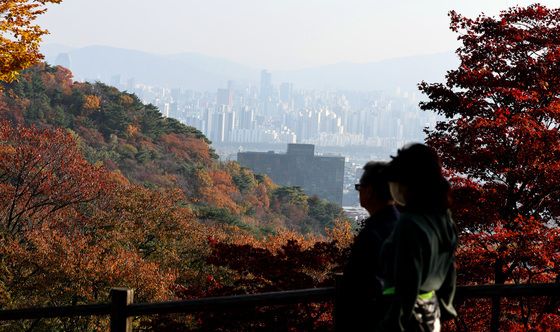 알록달록 단풍과 회색 도심