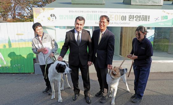 서울대공원으로 거처 옮긴 투르크메니스탄 국견 알라바이