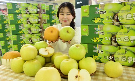 농협유통, 신품종 배 '그린시스' 판매