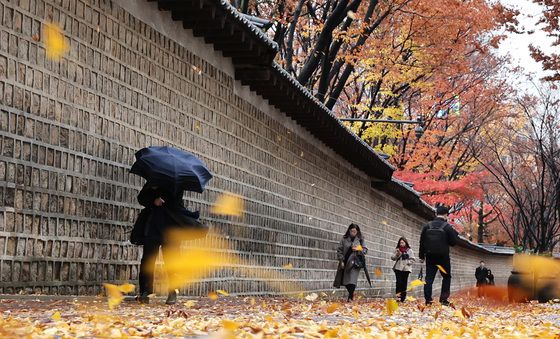 강풍에 흩날리는 낙엽