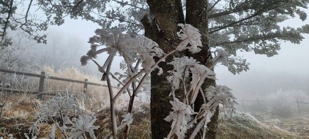 덕유산국립공원사무소 '향적봉에 올해 첫 상고대 관측'