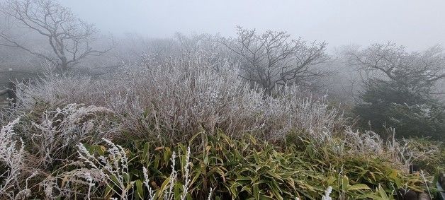 덕유산 향적봉에 올해 첫 상고대 관측