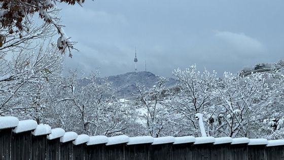 눈 떠보니 '서울 설국'