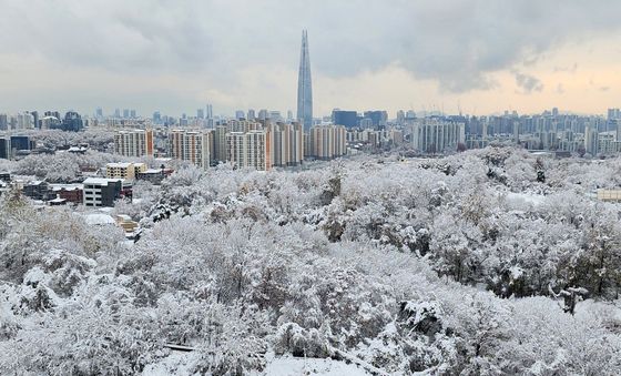 겨울의 시작을 알리는 첫눈