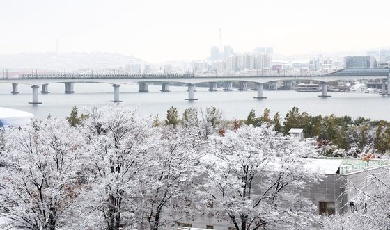 겨울 시작 알리는 눈