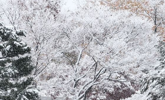 대설주의보 내려진 서울