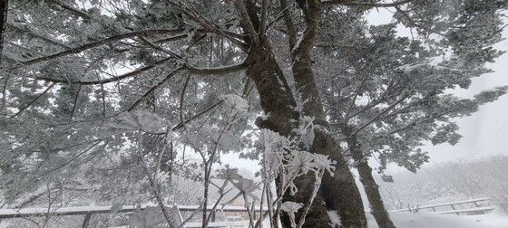 첫 눈 쌓인 덕유산국립공원