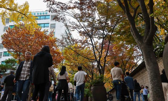 가을을 만끽하러 덕수궁 돌담길 왔어요!