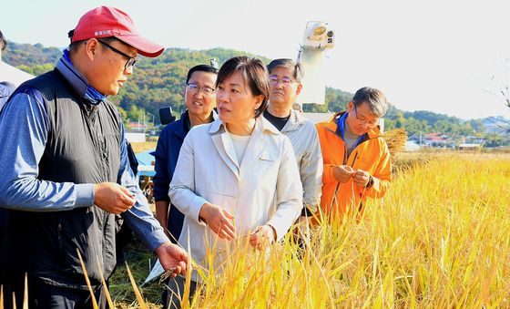 송미령 장관, 수확기 쌀 수급 상황 점검