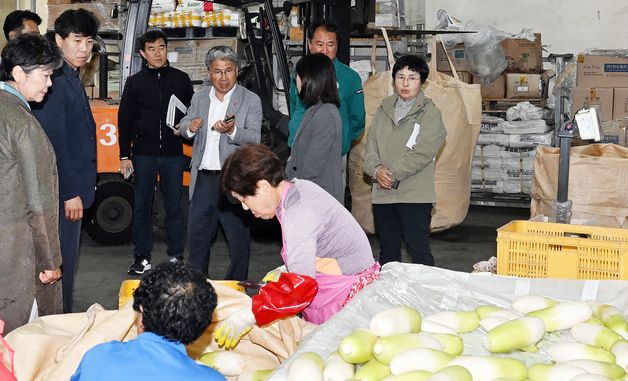 겨울무 살피는 이상봉 제주도의회 의장