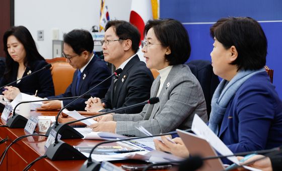 추미애 단장 "12월 14일, 내란 종식의 날"